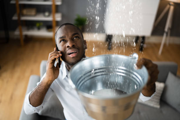 Best Water damage restoration near me  in Gosport, IN