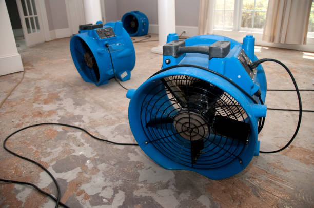Best Water damage contractors near me  in Gosport, IN