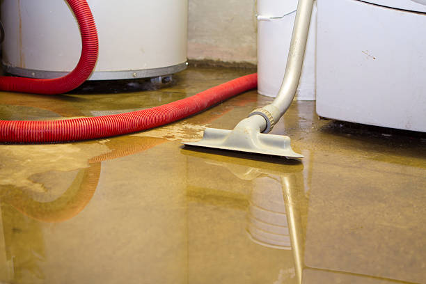 Best Water damage restoration near me  in Gosport, IN