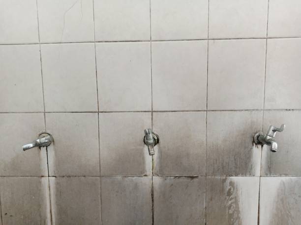 Best Fire Damage Restoration  in Gosport, IN