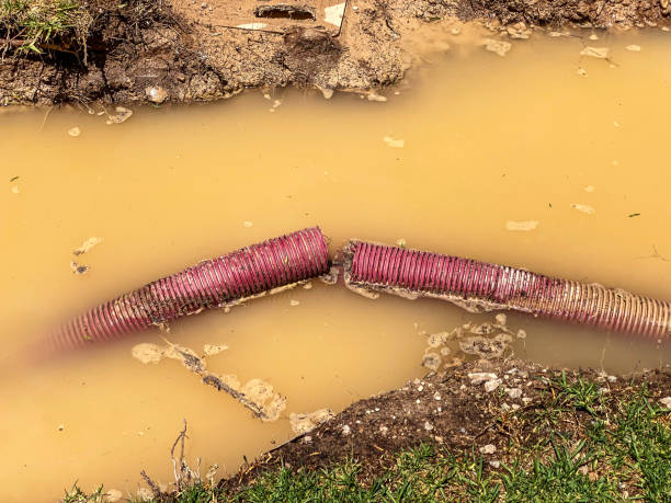 Best Residential water damage restoration  in Gosport, IN